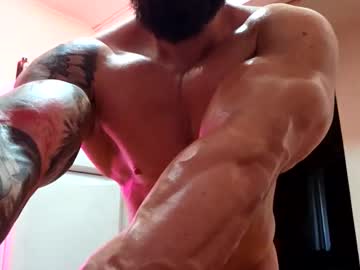 adonis msc