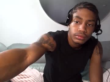 blackbulltitus