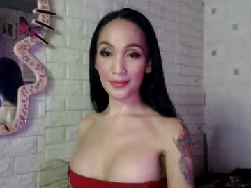 kittykatarena