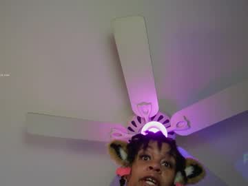 roelliitheecchi
