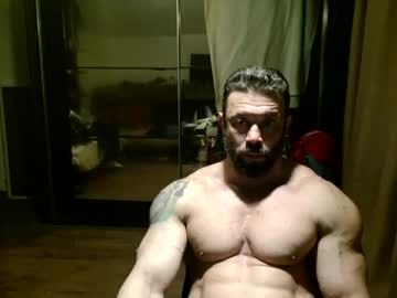 stevebulkzor